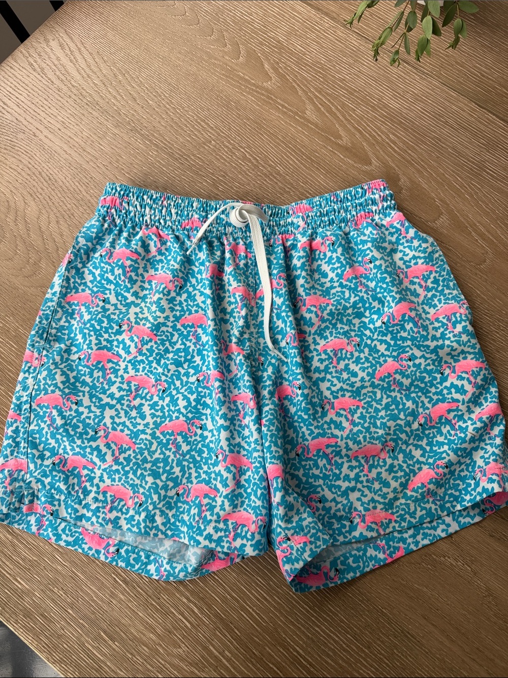 Chubbies classic swim trunk-The Domingos Are For Flamingos